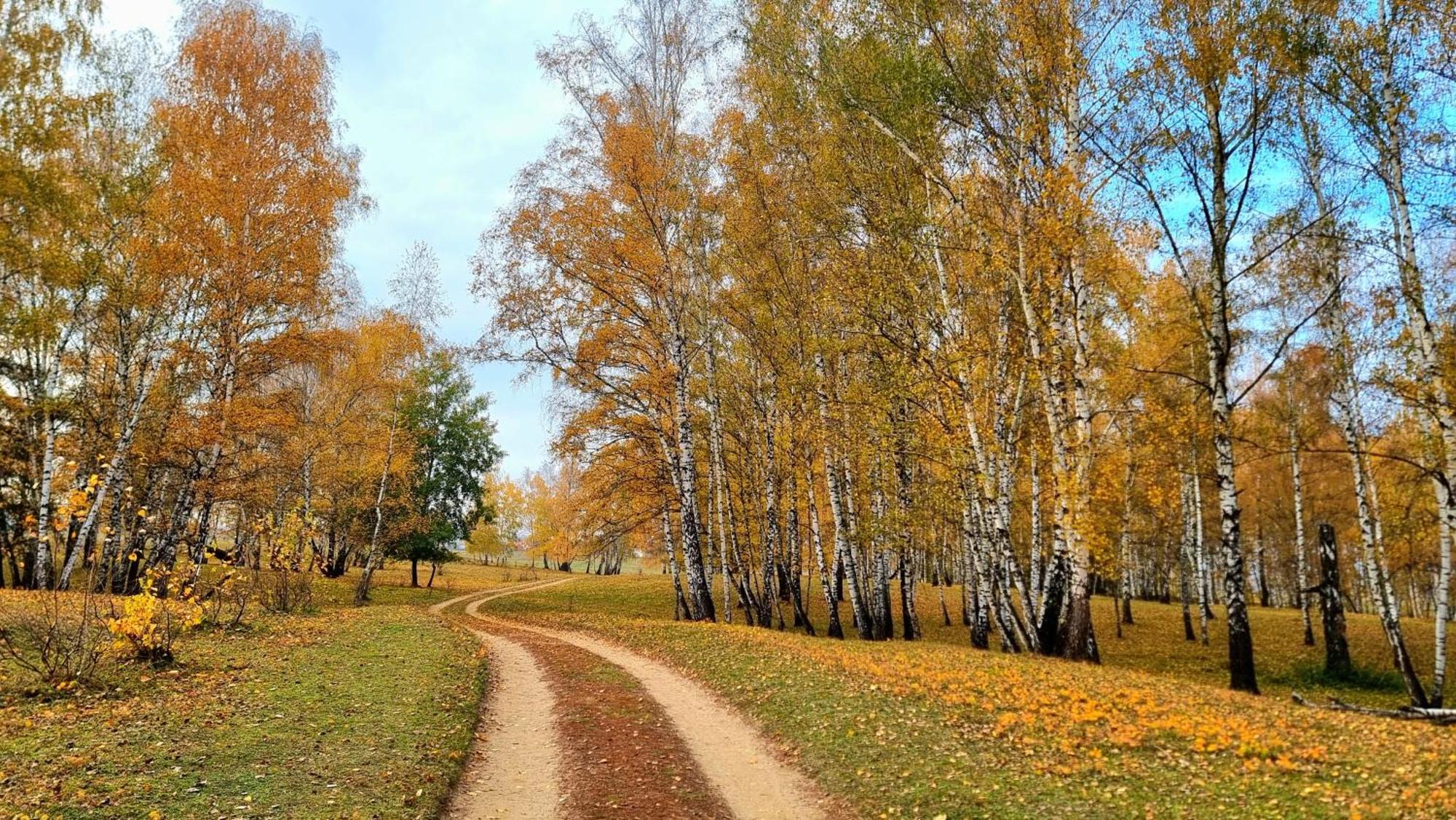 Вилла Casuta Din Povesti Reci Экстерьер фото